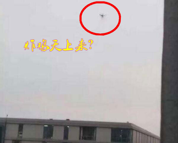 炸雞天上來，可知「炸機(jī)」危害性？